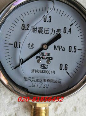 TN0MPA0.派澳 16-耐震压力表不锈钢N1  Y外壳mpa101006 MPAY.