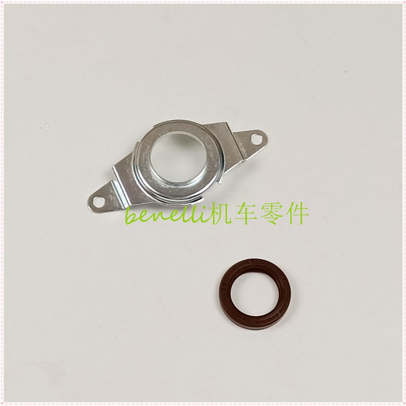 适用小黄龙BJ250-15/p15E/18金鹏251幼狮250赛250曲副轴油封链轮