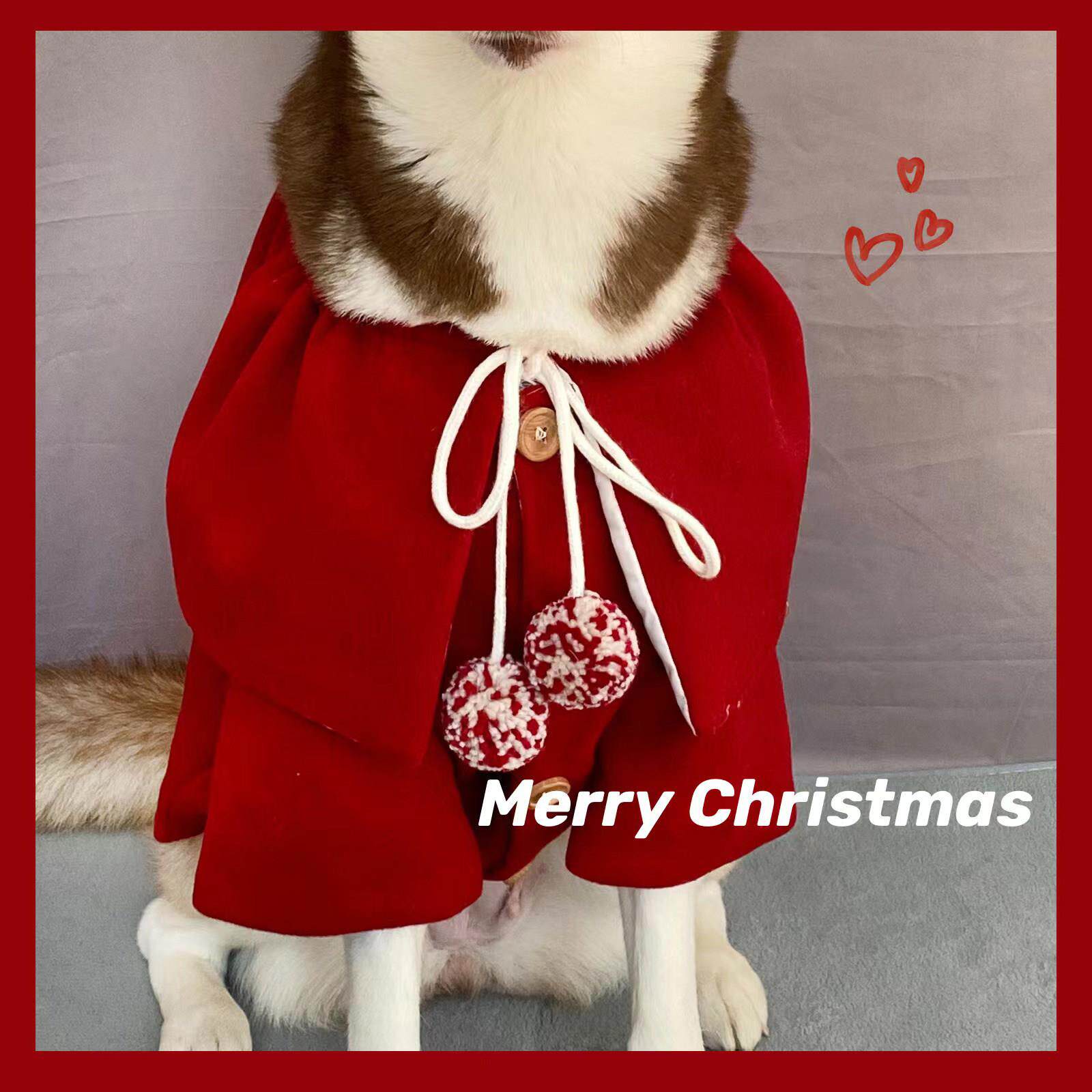 拜年大狗战衣!宠物新年装大型犬衣服金毛秋冬拉布拉多哈士奇斗篷