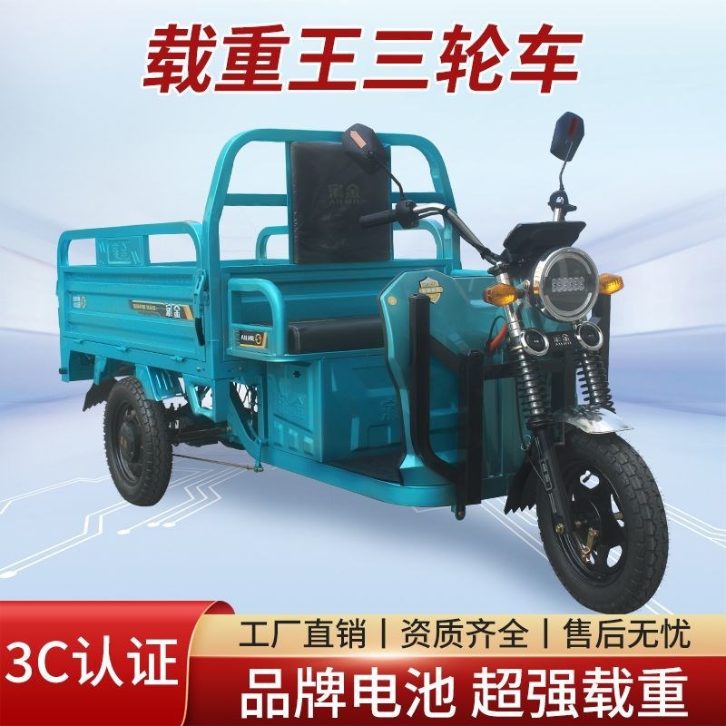 电动三轮车货车载重农用爬坡山区摆摊拉货电瓶新款快递电瓶车国标