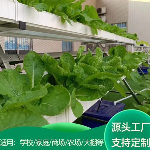 教学校无土栽培蔬菜设备草莓种植A字架水培大棚阳台管道种菜机NFT