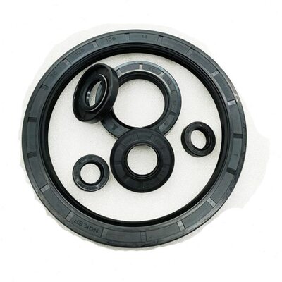 306* 66620206骨架油封*T70 2530QN**068C 66*K *20  70** 602025