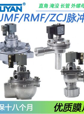 /脉冲阀S50S式R/Y-JM25F-/6S6407D//Z35/F/2D20P4586-/MJS直角ZCS