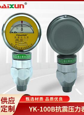 压力测量表阻隔抗震压力表YK-100B压力测量表泥浆固井密封压力表