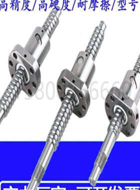 0242.5S10  60 微型0F8 120滚珠丝杆001K8 丝杠螺母00021 201080