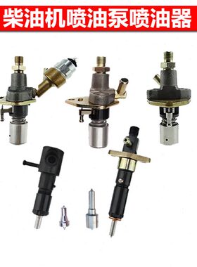 19器油嘴配件天17喷A1187洪喷FF/FF2油总成F1油泵31708F柴油机868