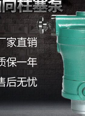 0源0鼎253///16/141滤轴向柱塞泵B-250机84010龙/Y剪/6门SC压南通