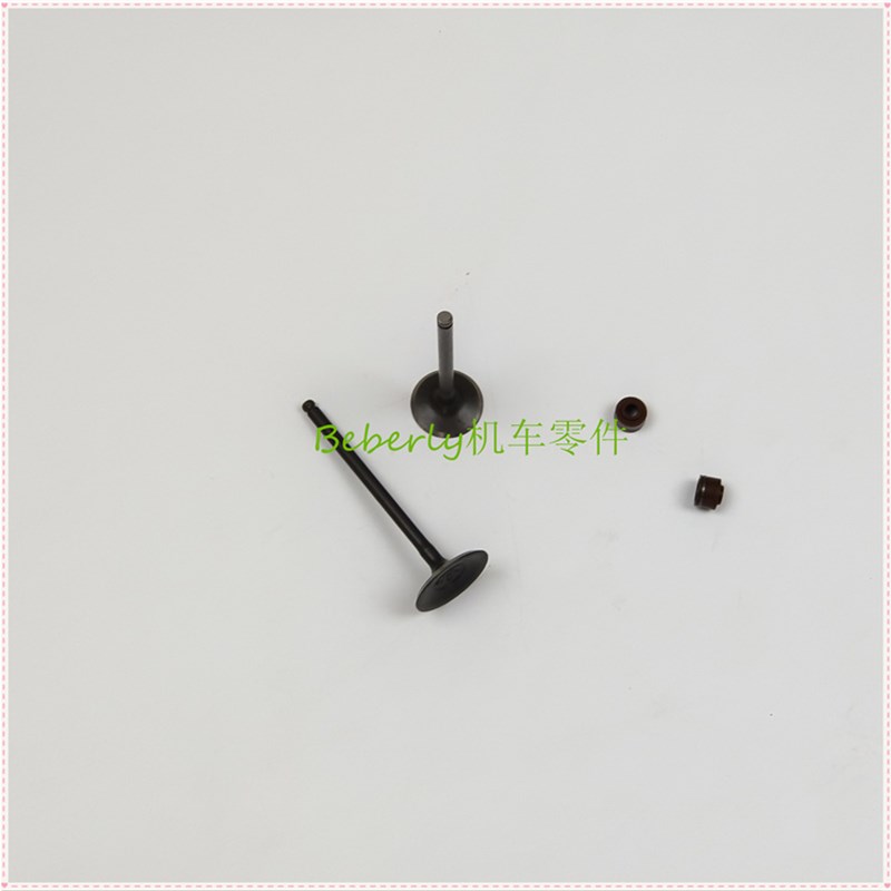 适用小黄龙BJ250-15As/15E金鹏251幼狮250进气门 排气门 油封