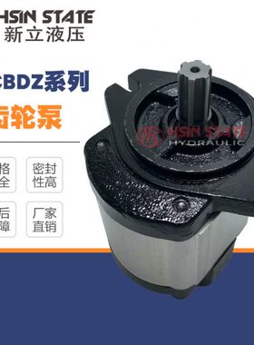 ketai齿轮泵HDCBDZ-F14AL12H1-BB/HDCBDZF16/F20/F25/F28/F36/F10
