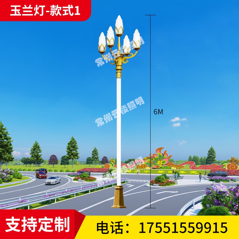 华光5.6米9火8.1米九头白玉兰路灯户外灯高S杆路灯景观广场灯