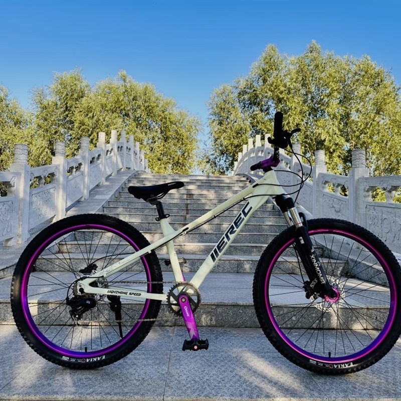 实体专卖店26寸土坡车飞包刷街翘头自行车非干坠断崖动作山地mlc