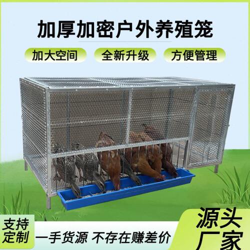 鸡笼子家用养鸡笼大号笼子方便喂食结实牢固