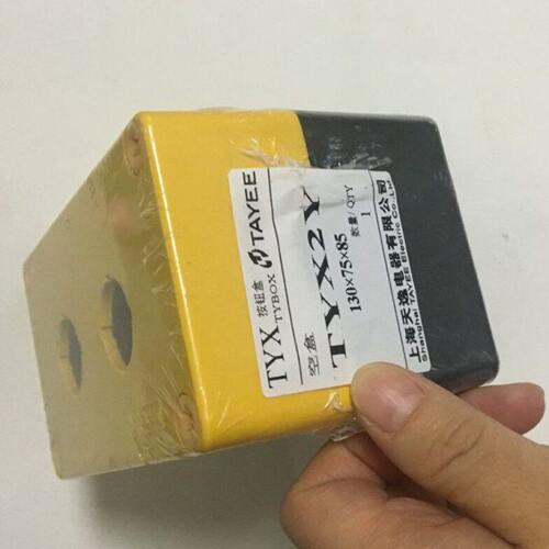 上海天逸两孔按钮盒TYX2