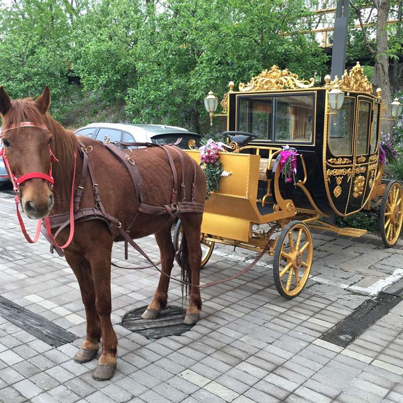 北京欧式皇家马车租赁浪漫南瓜车复古公主电车婚礼婚车圣诞送礼物