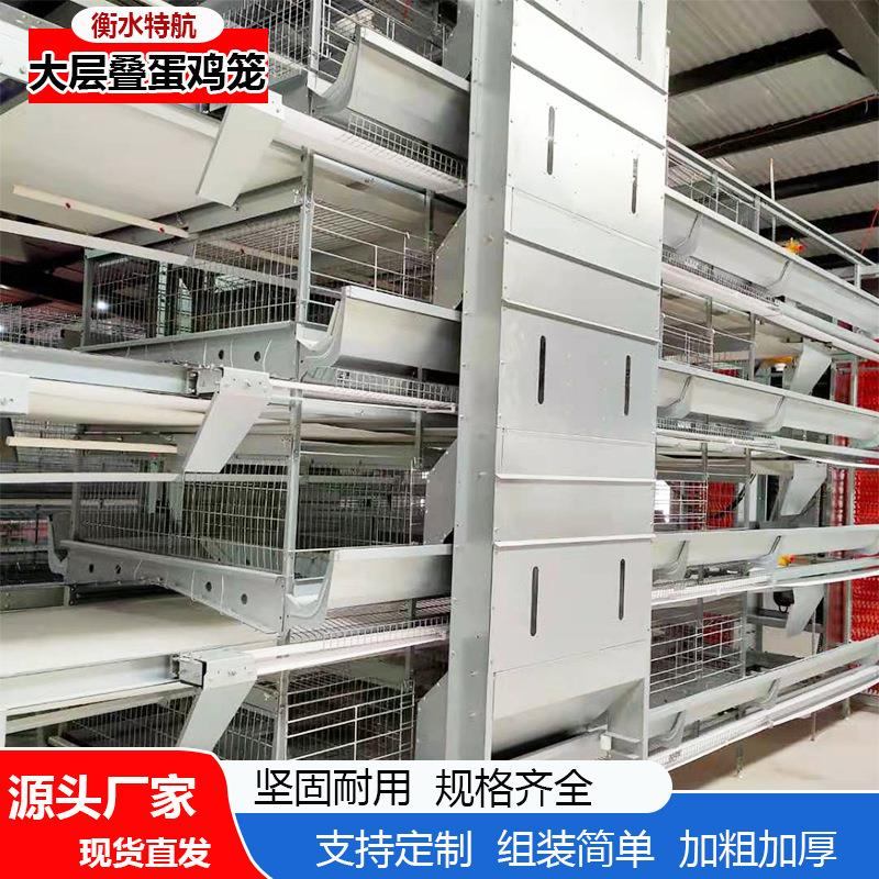 大层叠蛋鸡肉鸡笼全自动清粪捡蛋设备镀锌丝养殖设备