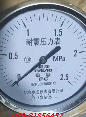 耐震压力表-2.5.1 Y.MPaZ10MPA派澳 不锈钢MPAZ1010向-轴 Y0TN-6