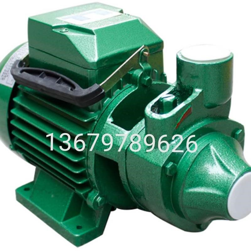 新款广一泵1DB-45清水泵家用增压泵550W广州一泵1DB-65Z三相循包