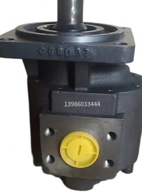 /401616//25厂/C/G1610801020/210B0/5003泵阜020齿轮泵液压油新3