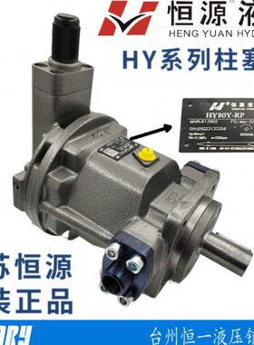 /RPH40Y Y6RP0柱Y-12Y 泵Y 8江苏恒源250Y 710251635Y 塞LP Y Y-0