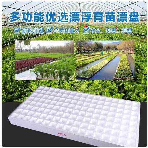 漂浮泡沫板水上种植泡沫育苗盘穴盘秧盘水培盘育苗盘白色泡沫盘