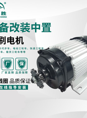 电动三四轮车电机48vq60V人力车改装中置直流无刷电动机割草机马