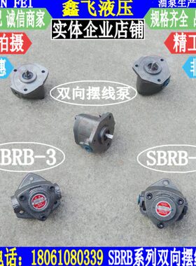 403250-2.53R配件X摆机床齐齐哈尔SB4-BB3线61 RC油泵铣床泵BR