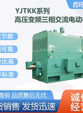 西安电机YJT4503-6级500W6V高压变频交流三相异步电动机