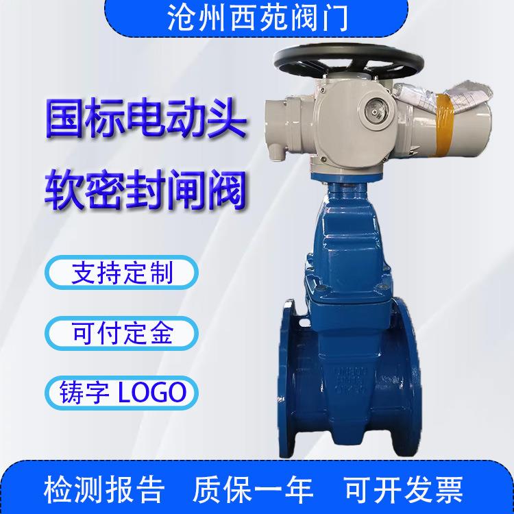 电动头DN300赣马体软密封闸阀带手柄水利适用可贴标开关截止