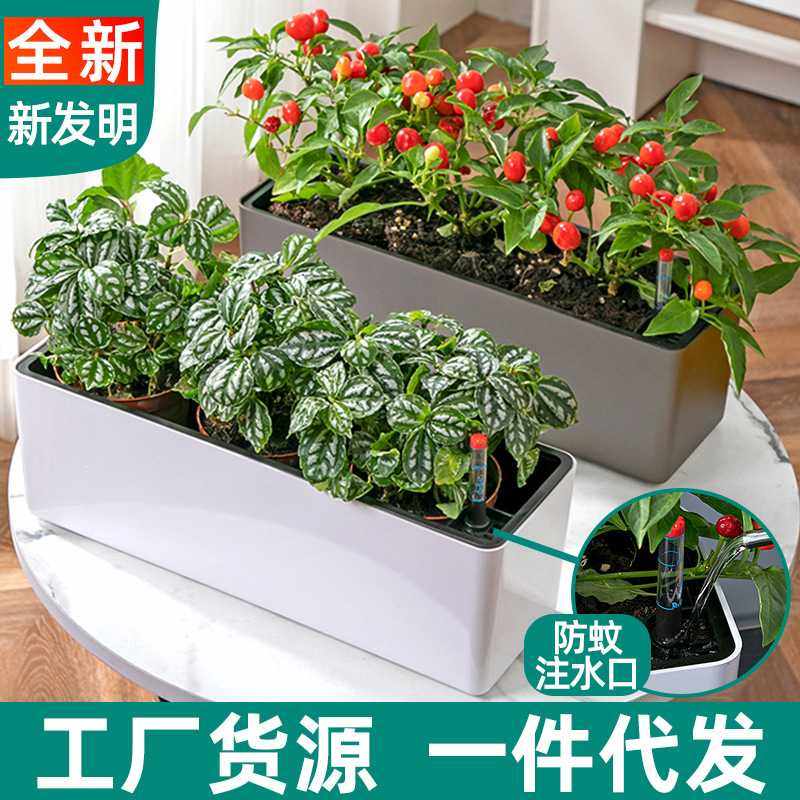 加厚款窄边种菜盆懒人花盆塑料 阳台种菜长方形种植盆窗台花盆,鲜花速递/花卉仿真/绿植园艺,花盆,淘宝优惠券,粉丝福利购,淘宝优惠卷