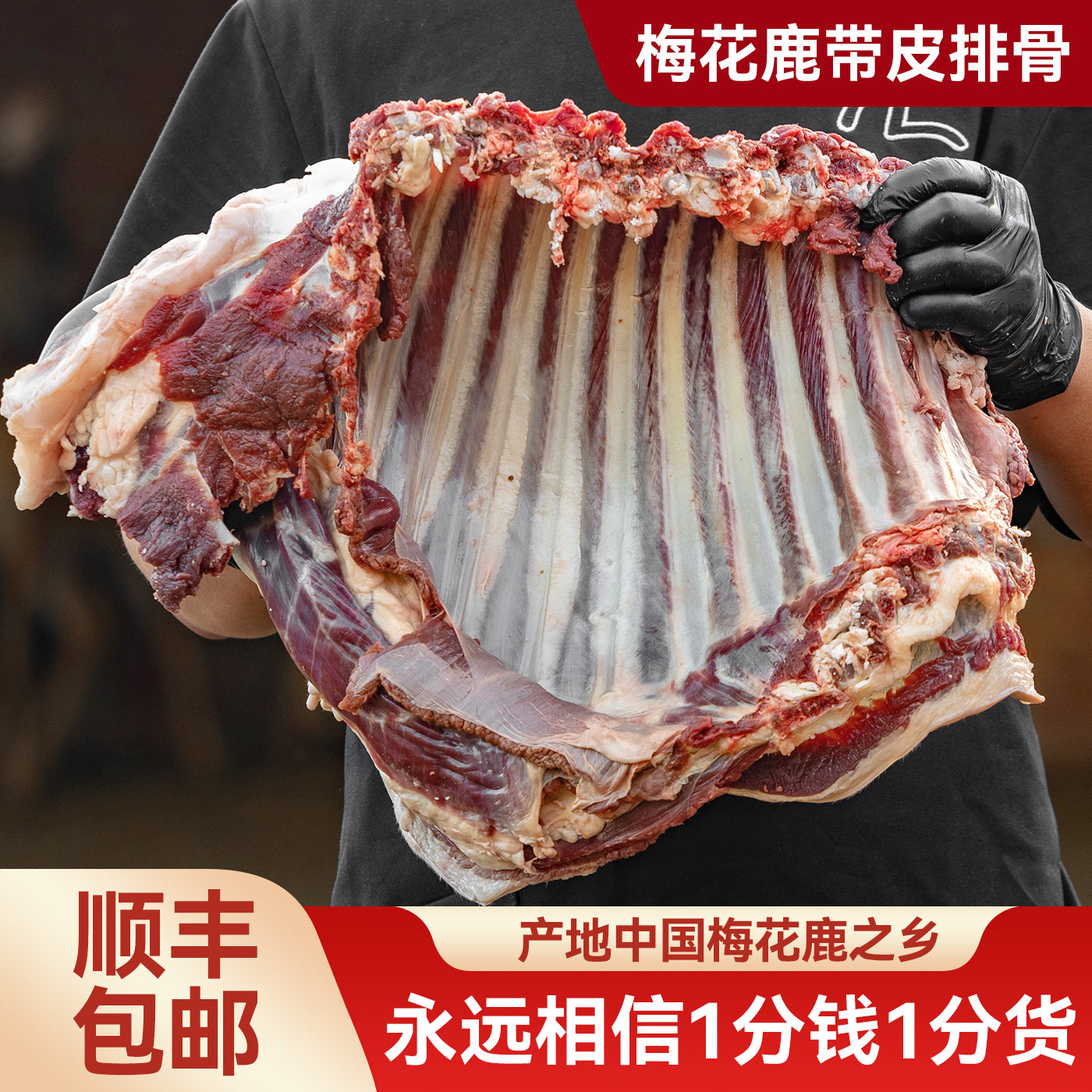 长白山梅花鹿新鲜现杀整扇排骨