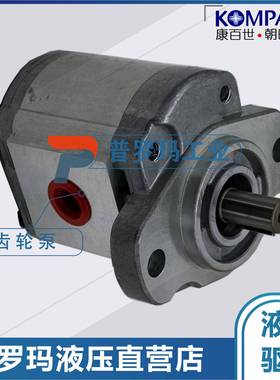 液压油泵P101RP01GTP102RP01GTP211RP01DT齿轮泵