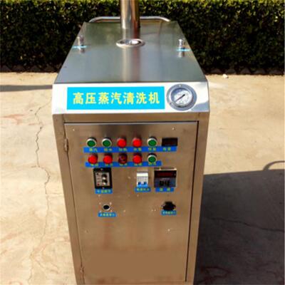 蒸汽洗车机 高压蒸汽微水清洗一体机Steam car washing machine