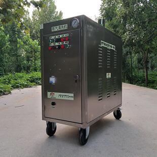 蒸汽清洗机 高温消毒汽车表面污垢清理机 不锈钢洗车设备