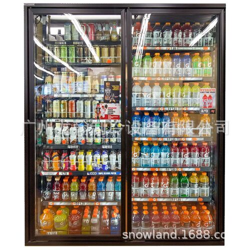冷藏啤酒柜冰箱便利店饮料展示柜酒吧立式冰柜风冷双门冷饮柜