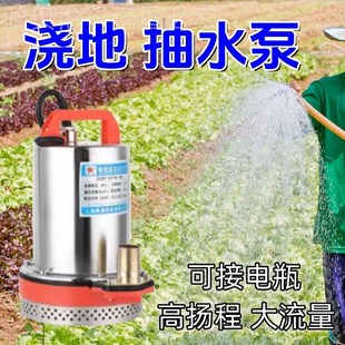 菜园浇水神器插电动车农村种专用工具大I面积田间地里瓶抽泵汞机