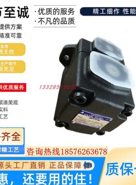 F/EPF/G3326F 65R F/F/台湾Y52N77534F/5HF/F/I-41 V2叶片泵9