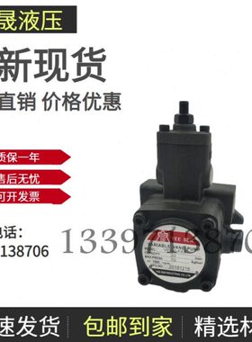 自动A3- N15PV-F台湾A3-F30P- EE A3VA3 镒圣YVP20量SE40-F-FVP变