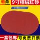 红专用磨砂打磨腻子9寸墙面绒植打磨机圆形砂纸墙壁沙纸自粘抛光