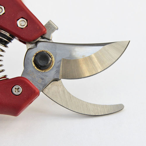 园艺修枝剪刀园林剪枝修花树木剪子不锈钢盆景果树粗枝剪绿化工具