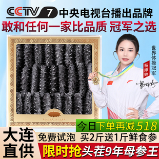 参康德大连野生纯淡干海参特价250g500g底播辽刺参干货礼盒旗舰店