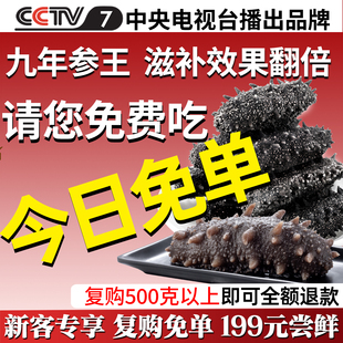 大连参康德野生淡干海参体验装50g底播干货辽刺参官方旗舰店特价