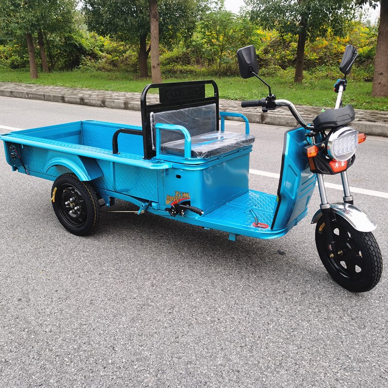 电动三轮车货运拉货车摆摊小平板代步车新款家用电瓶三轮车快递车