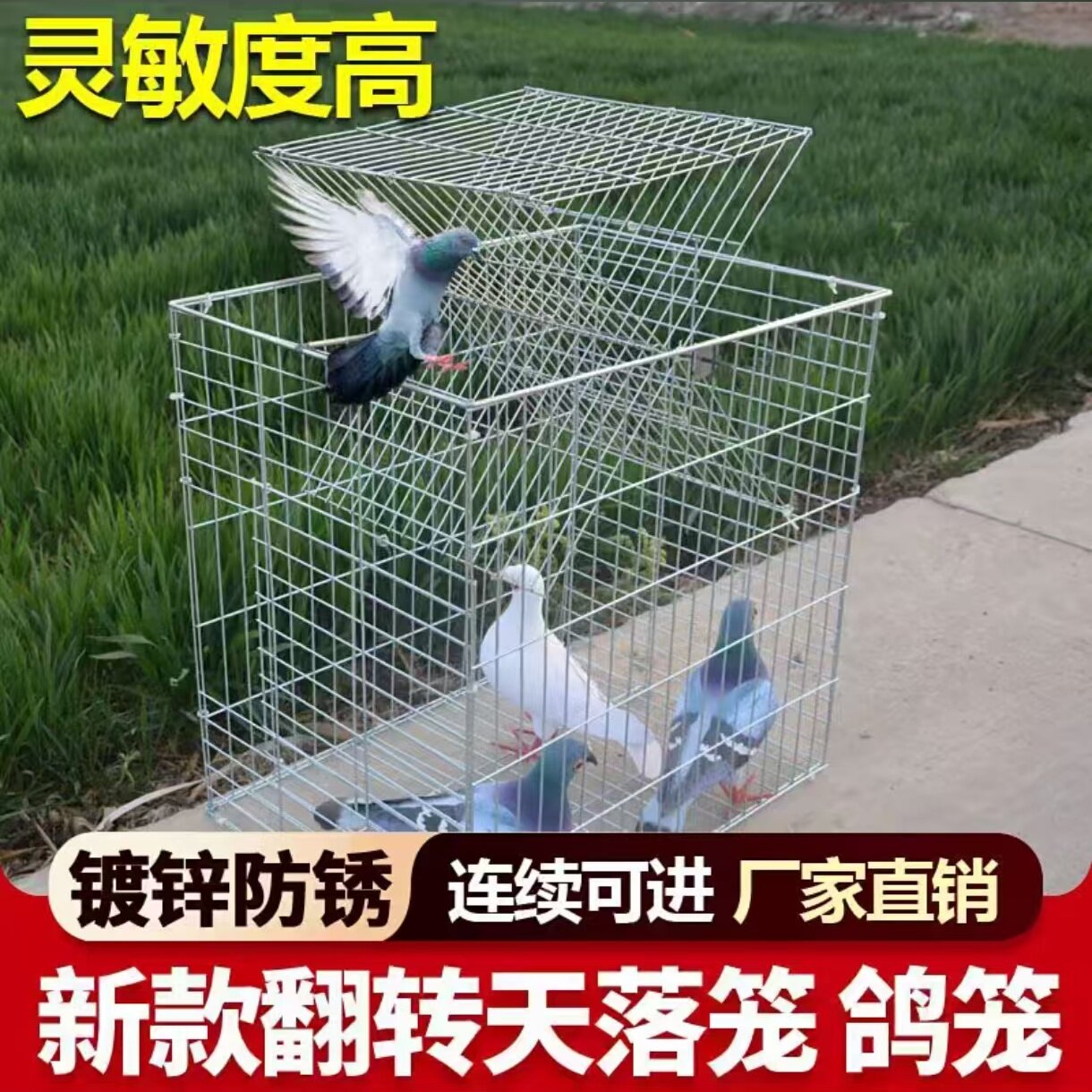 全自动翻转笼镀锌防锈天落笼户外鸽子笼只进不出防逃连续收鸽笼图片