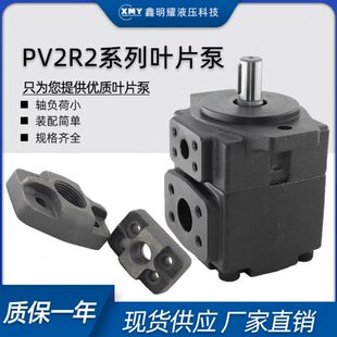 V23量低噪R总成41油泵高压43叶片泵P定液压系统 7音2配件RV2