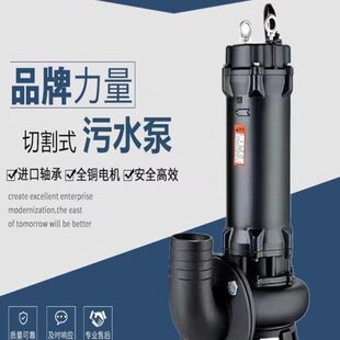 东方东方污水气浆泥污排泵排污泵上海提升W水泵抽粪电泵地下室Q沼