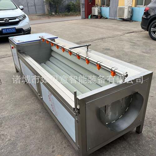 全自动鱼类去鳞毛辊清洗机滚刷式鲫鱼去皮设备全自动鱼鳞清洗机