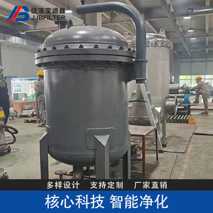 1.6不锈钢过滤双滤芯分离器 120 佳洁宝聚结式 航煤过滤器150LGF
