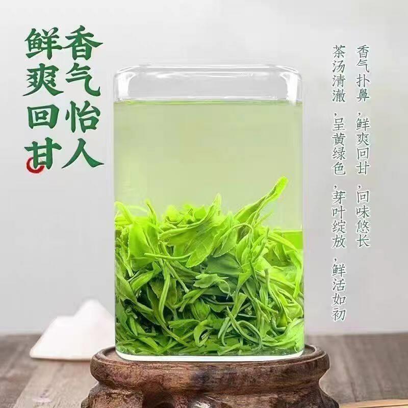 2025年新茶信阳绿茶叶明前嫩芽浓香型毛尖茶春茶自己喝口粮茶散装