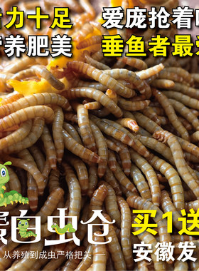 新店开业，狂送半斤虫！死亡保赔