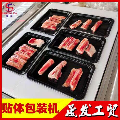 食品翅中翅尖肉类真空贴体封口机牛羊肉类不锈钢真空贴体包装机